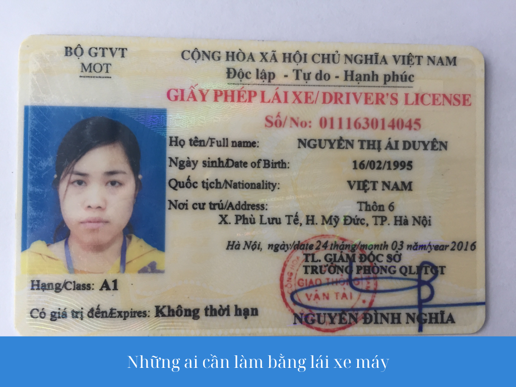 Làm Bằng Xin Việc